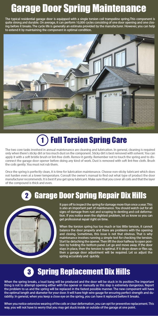 Garage Door Repair Dix Hills Infographic
